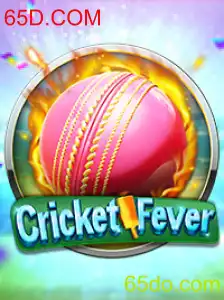 CricketFever: Uma Nova Era de Emoção no Esporte com 65D.COM